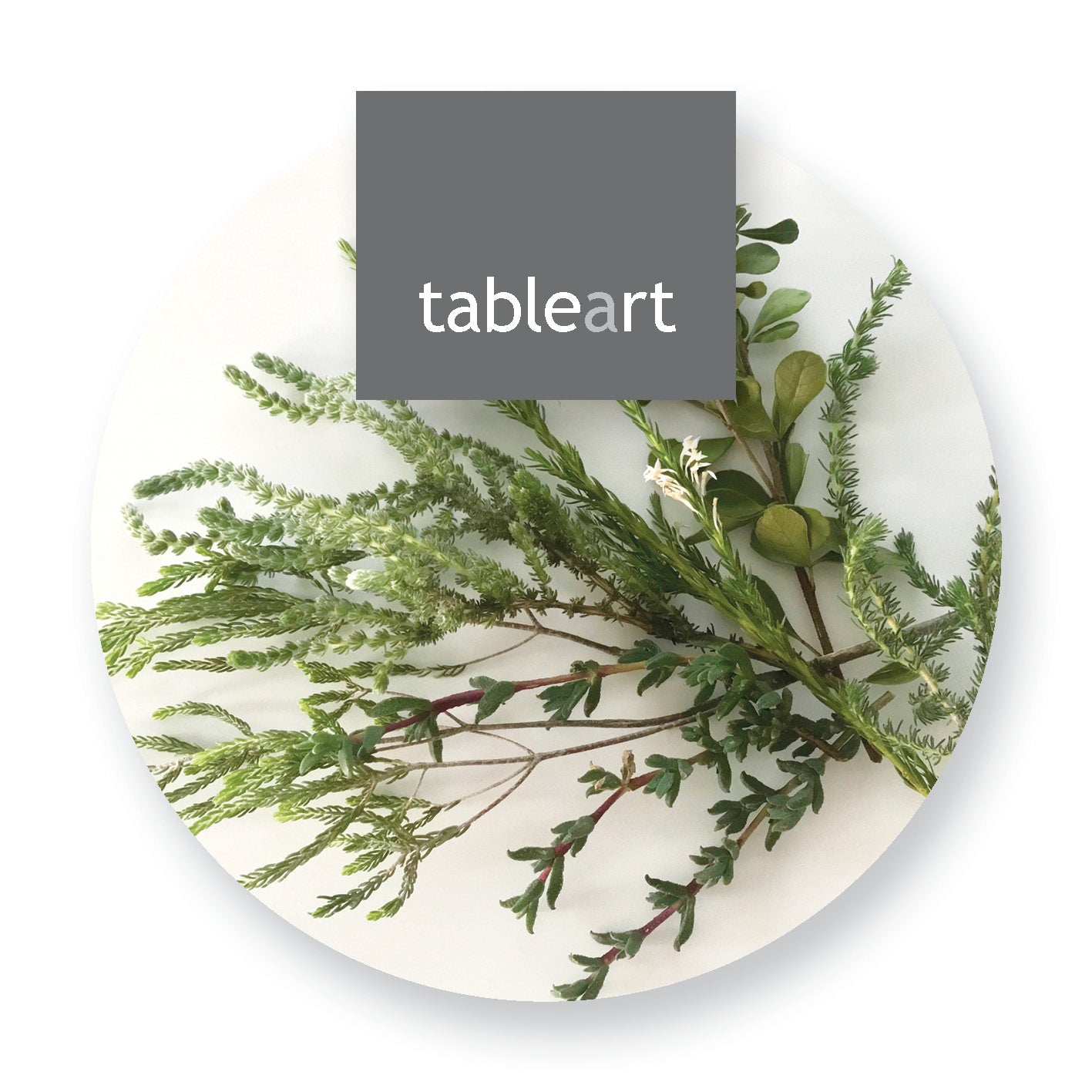 Coasters | Fynbos