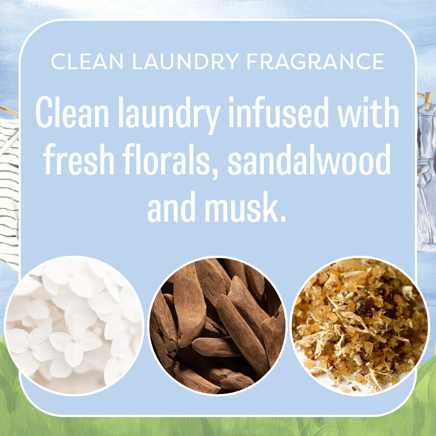 Clean Clothes