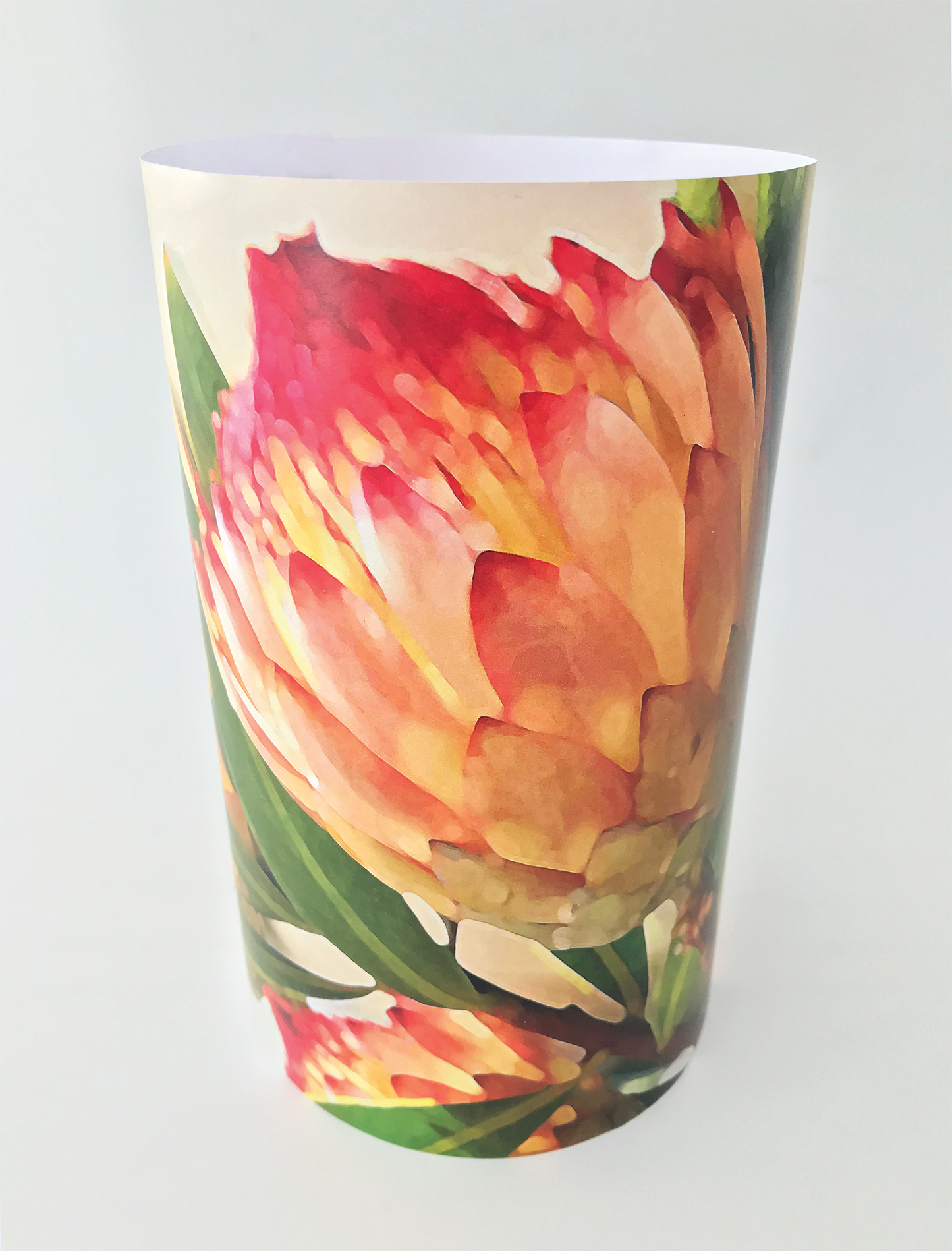 Glow light/lanterns | Protea Robijn