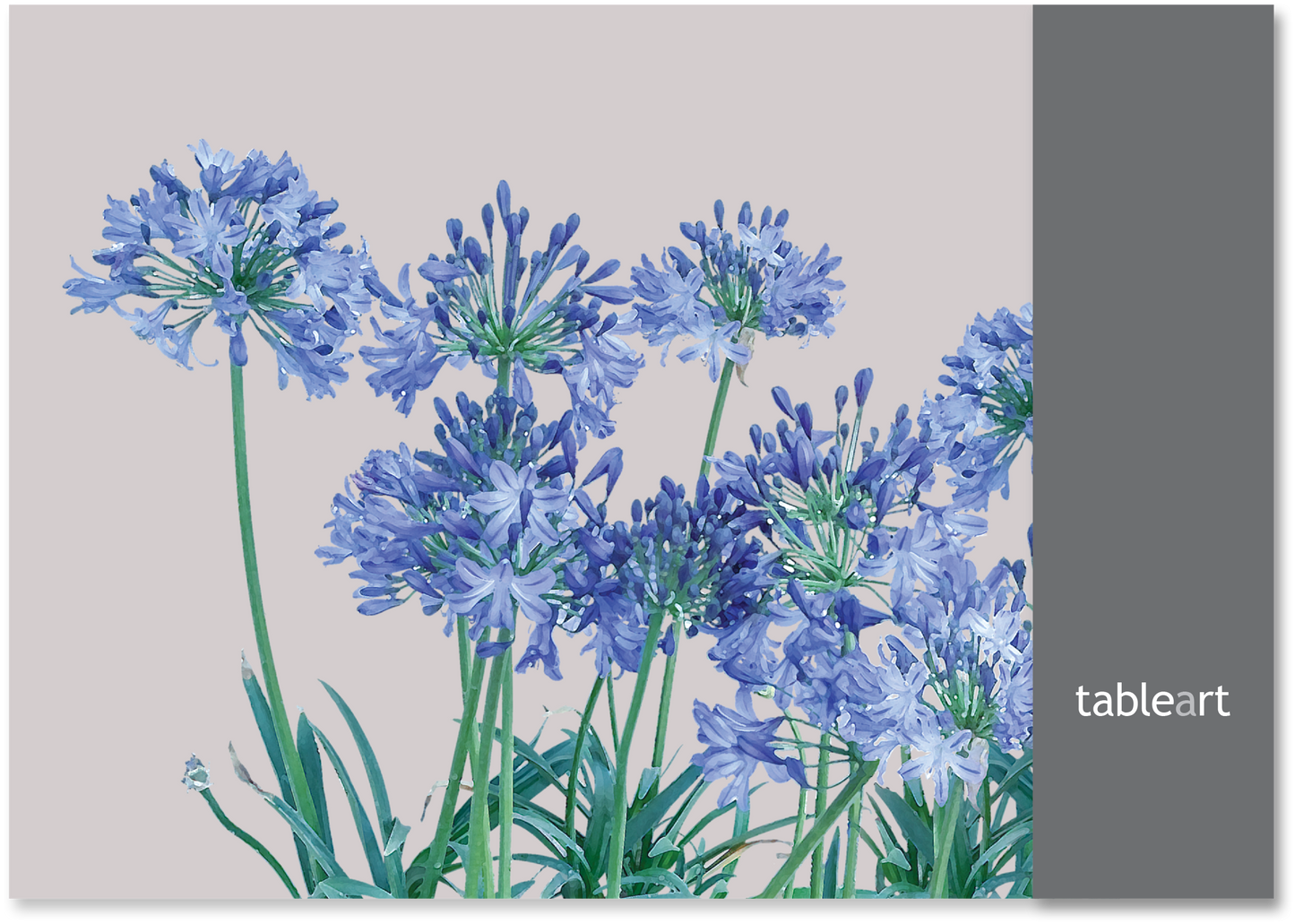 Disposable Placemats | Agapanthus
