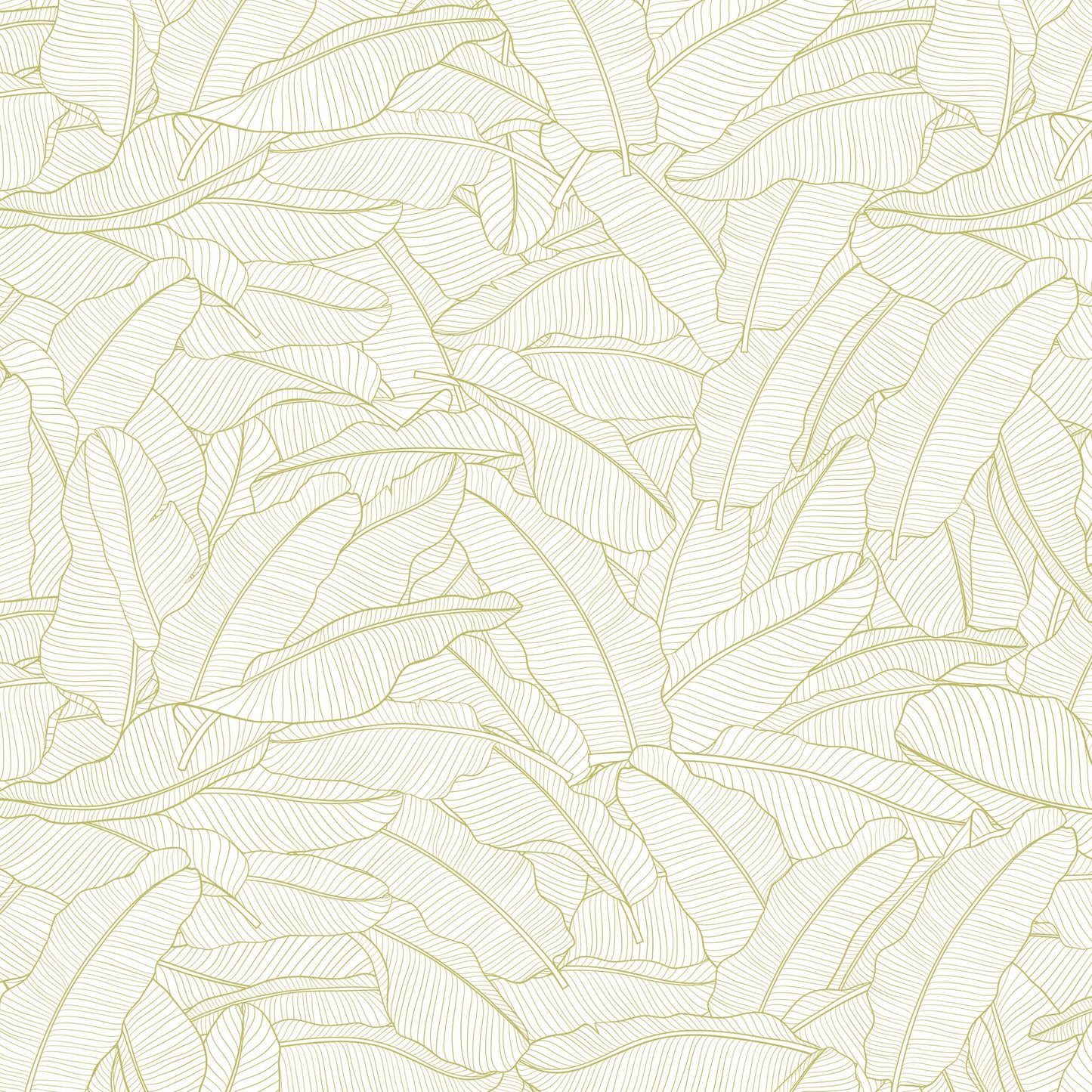 Scented Draw Liners - English Pear & Orchid