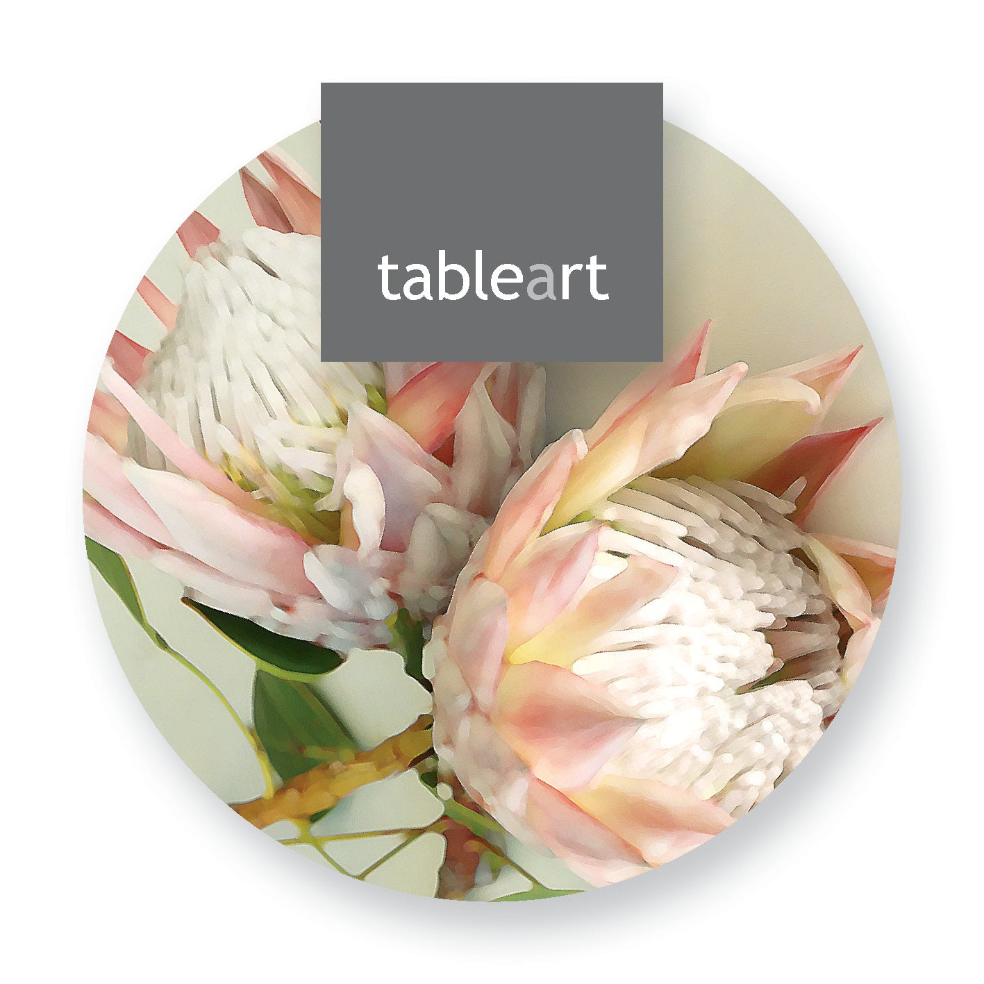 Coasters | King Protea
