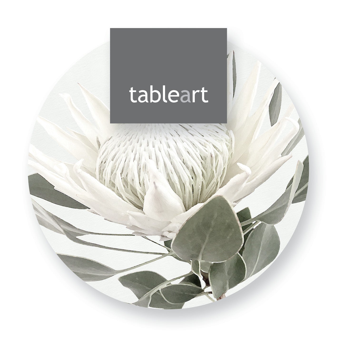 Coasters | White King Protea