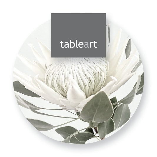 Coasters | White King Protea