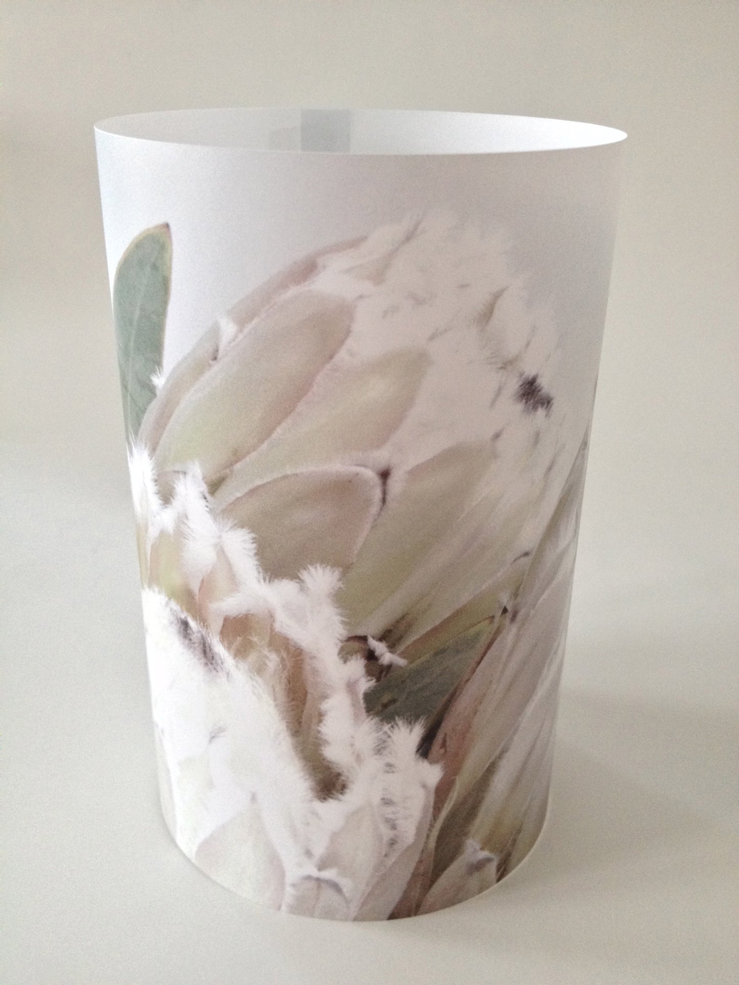 Glow light/lanterns | Queen Protea