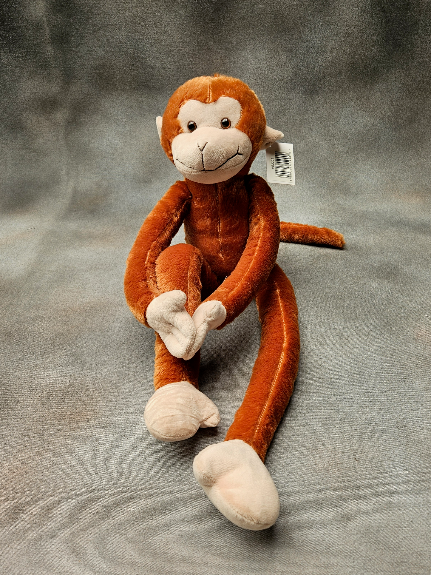 Monkey with Long Arms