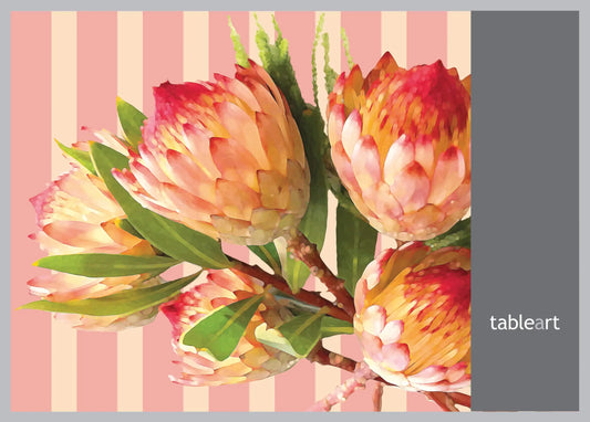Disposable Placemats | Protea Robijn Stripes