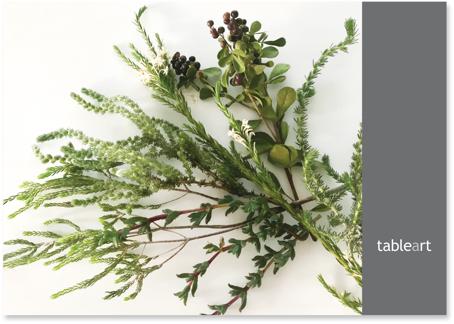 Disposable Placemats | Fynbos