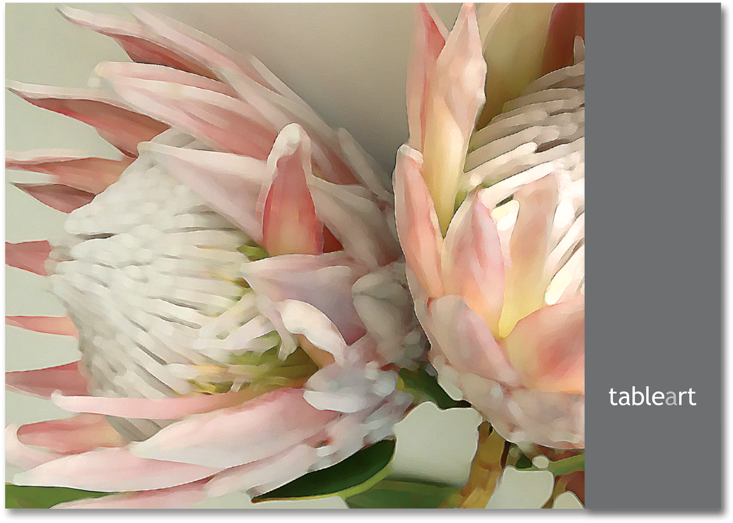 Disposable Placemats | King Protea