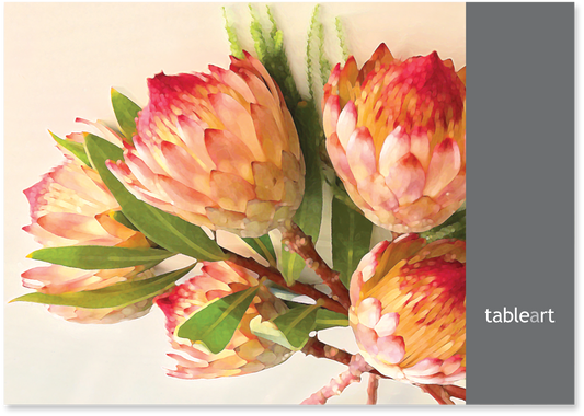 Disposable Placemats | Protea Robijn