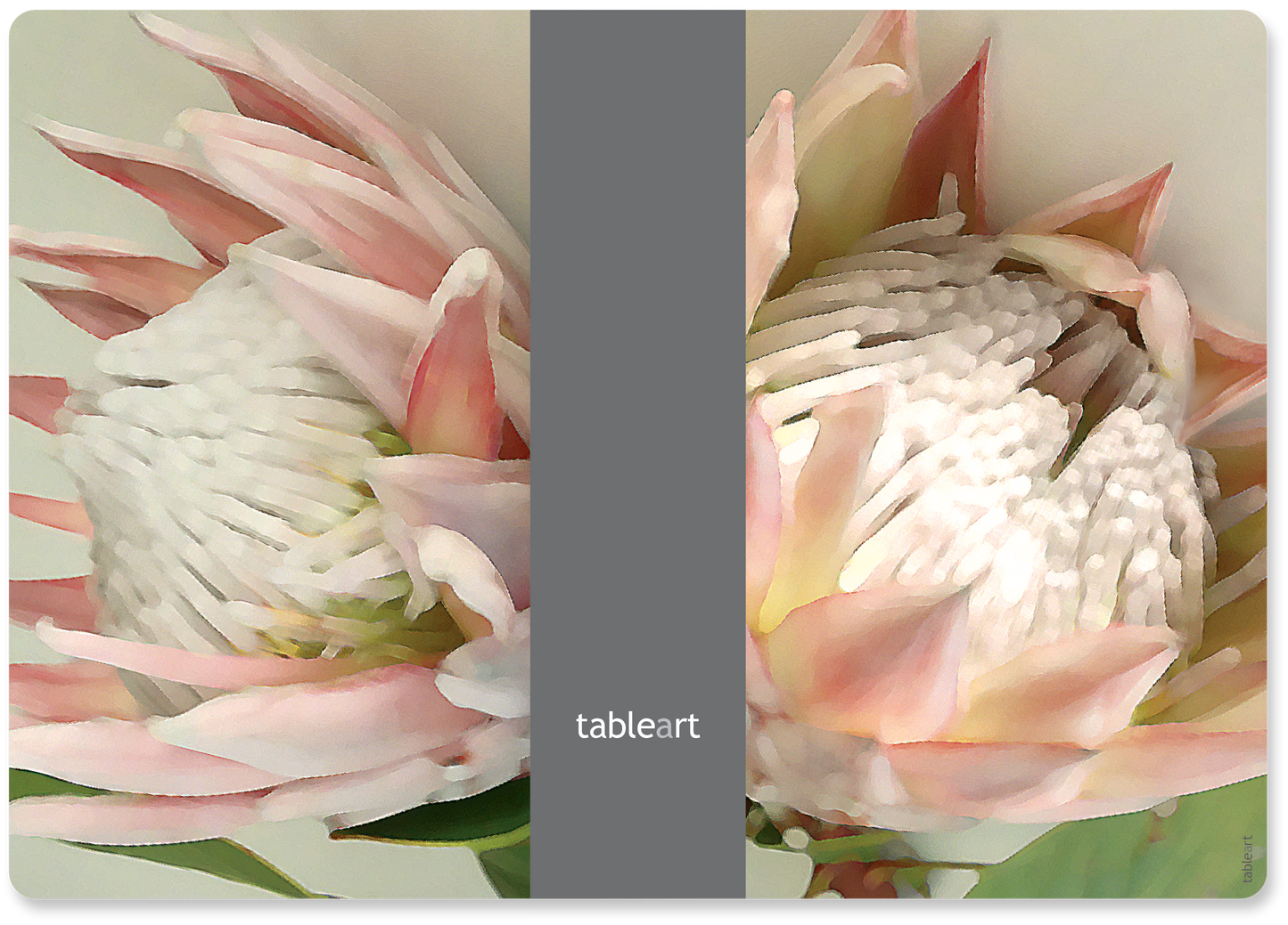 Placemats Rectangle | King Protea Pink