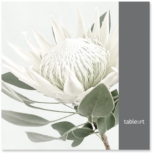 Disposable Placemats | White King Protea