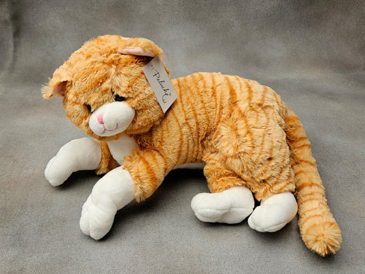 Lying Cat | Ginger