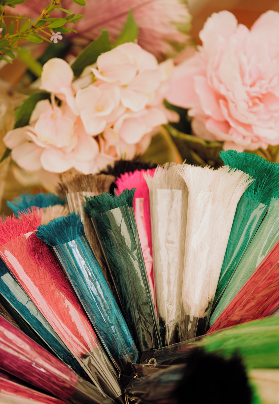Ostrich Feather Keyrings