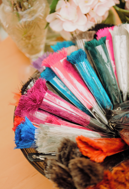 Ostrich Feather Keyrings