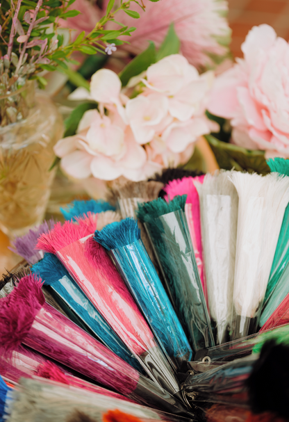 Ostrich Feather Keyrings