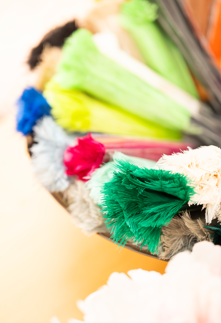 Ostrich Feather Keyrings