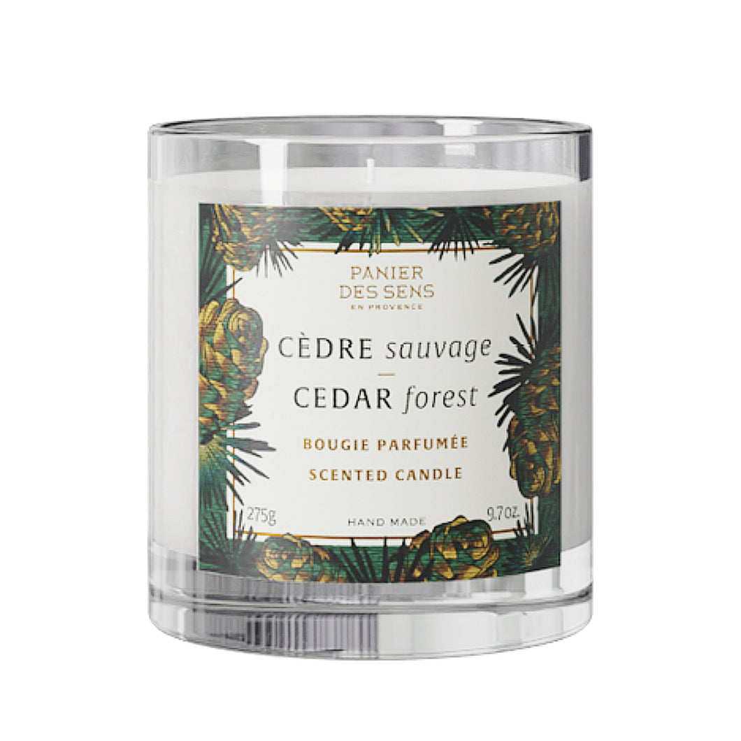 Cedar Forest Scented Candle