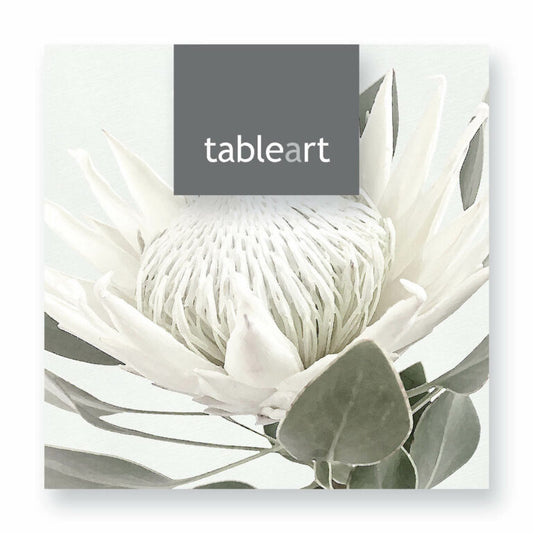 Square Coasters | White King Protea