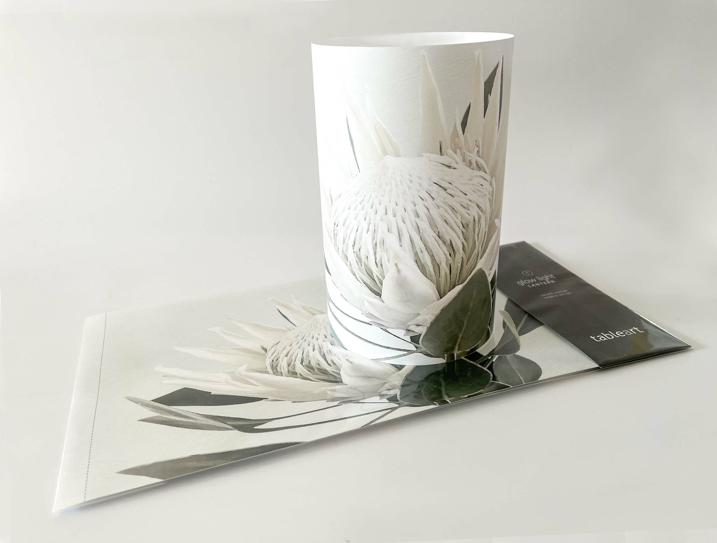Glow light/lanterns | White King Protea