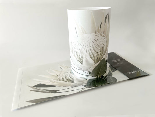 Glow light/lanterns | White King Protea