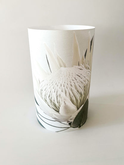 Glow light/lanterns | White King Protea
