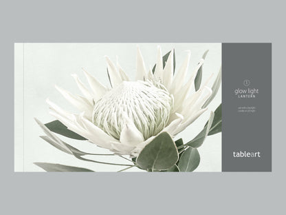 Glow light/lanterns | White King Protea