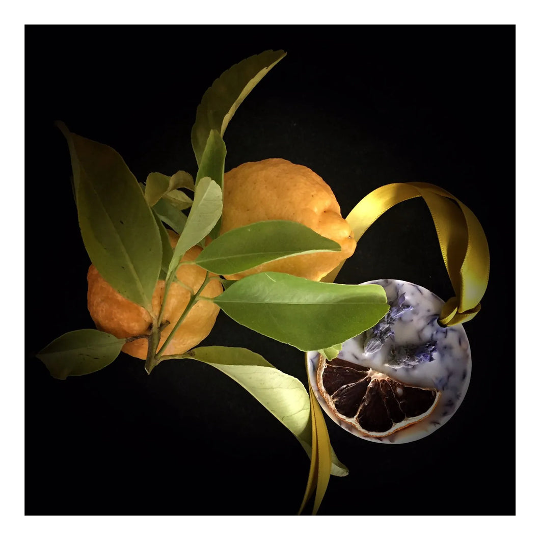 Scented Waxie – Lavender, Lemon & Rosemary