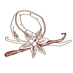 Vanilla Coconut Wooden Top Diffuser Refill