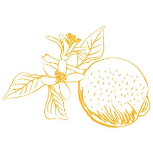 Wild Citrus Roomspray