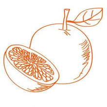 Load image into Gallery viewer, Sugared Grapefruit Wooden Top Diffuser Refill
